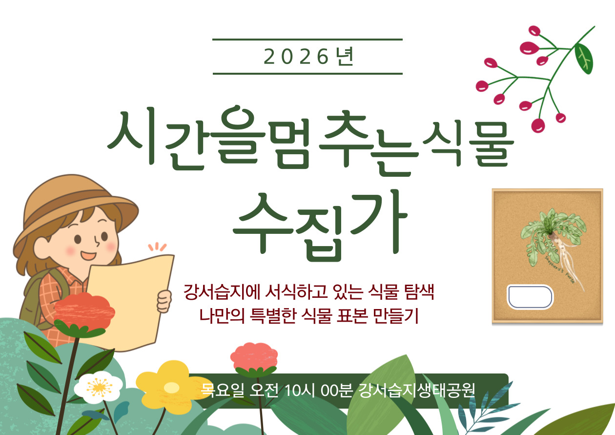 [강서습지]  시간을 멈추는 식물 수집가