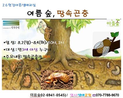 124[2026 한강여름생태교실] 여름 숲, 땅속곤충 사진