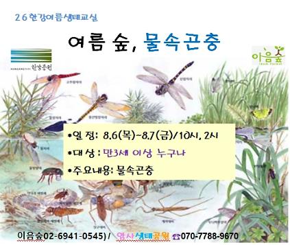124[2026 한강여름생태교실] 여름 숲, 물속곤충 사진