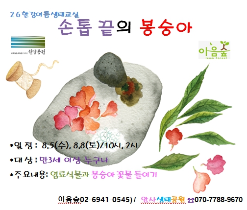 [2026 한강여름생태교실] 손톱 끝의 봉숭아