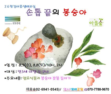 124[2026 한강여름생태교실] 손톱 끝의 봉숭아 사진
