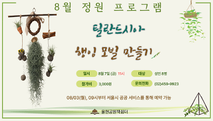 124율현공원 책쉼터 08월 정원프로그램_틸란드시아 행잉 모빌 만들기 사진