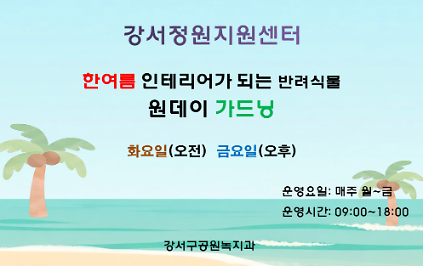 124강서정원지원센터 8월 정원프로그램(화요일, 금요일) 사진