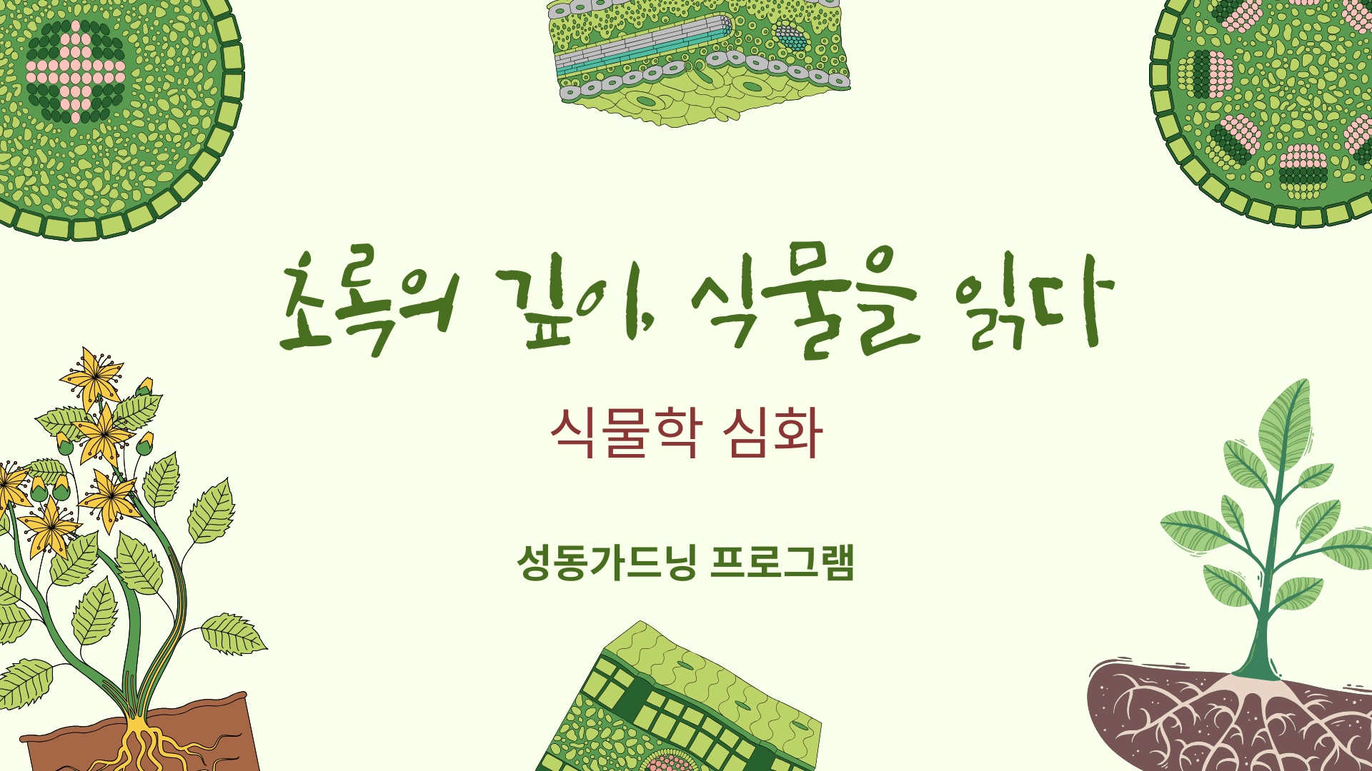 [성동 가드닝프로그램] 초록의 깊이, 식물을 읽다-식물학 심화
