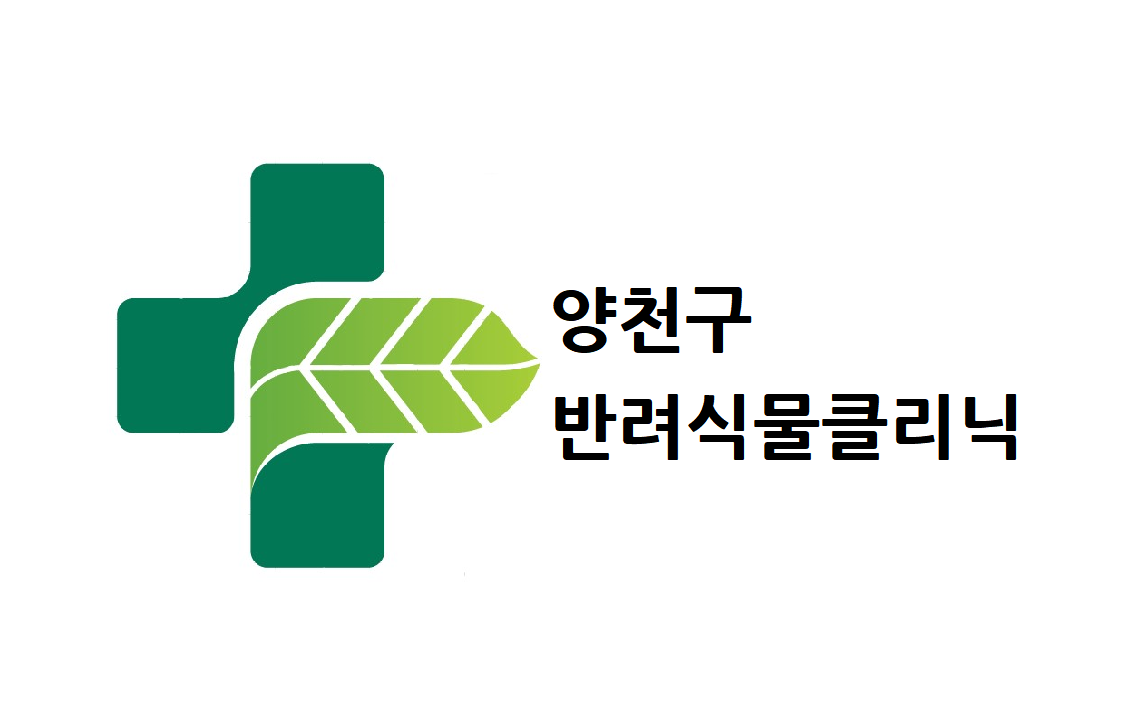 양천구반려식물클리닉(8월)