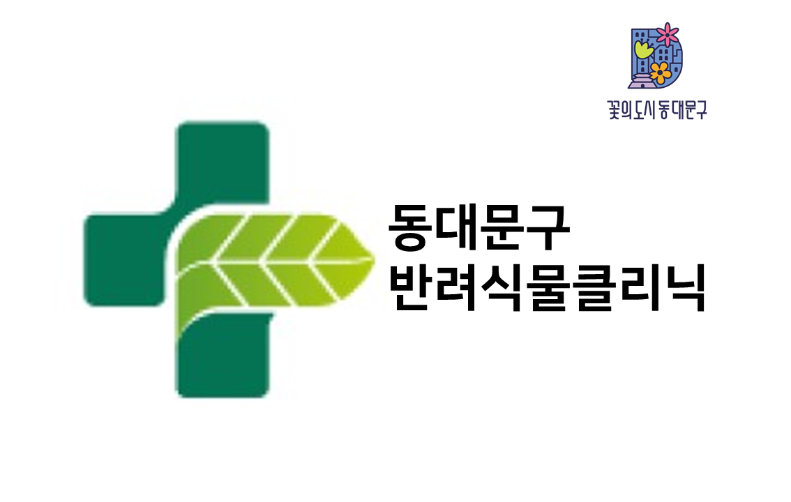 동대문구 반려식물클리닉(8월 실습)