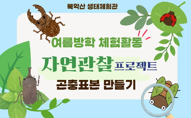 [북악산생태체험관] 여름방학  자연관찰 프로젝트(곤충표본만들기)