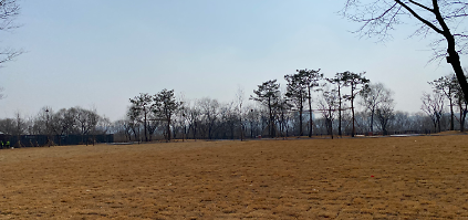 9월 프리캠핑존 (4인용, 잔디형) 26년 한강공원 난지캠핑장 사진