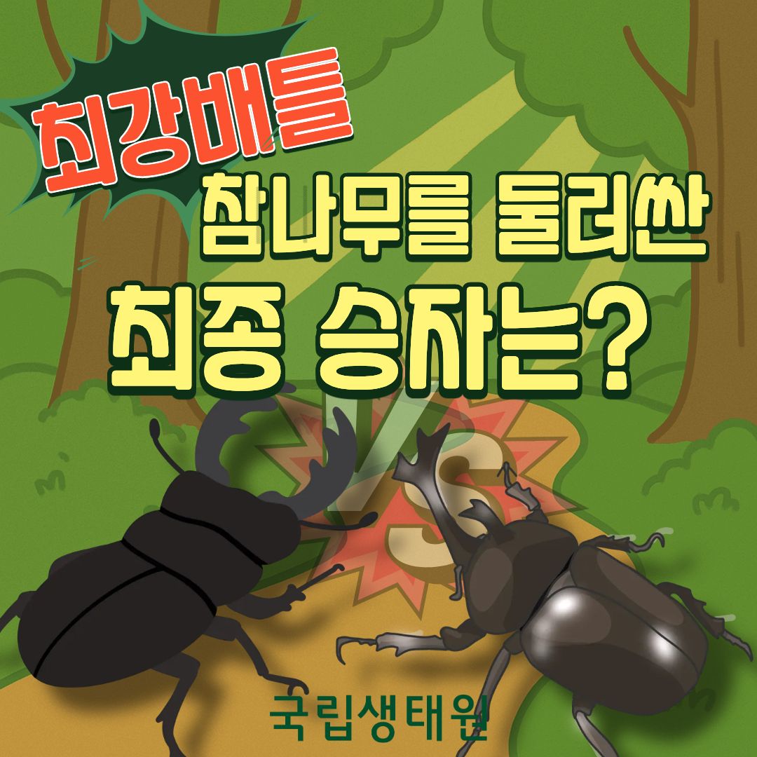 [국립생태원] 서울어린이대공원 생태체험교육 「최강배틀! 참나무를 둘러싼 최종 승자는?(60분)」