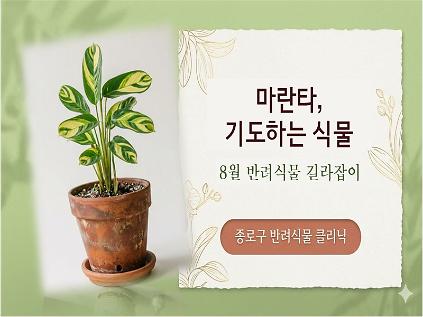 종로구 8월 반려식물 길라잡이 사진