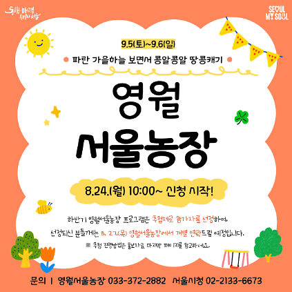 [영월서울농장] 파란 가을하늘 보면서 콩알콩알 땅콩캐기 (260905) 사진
