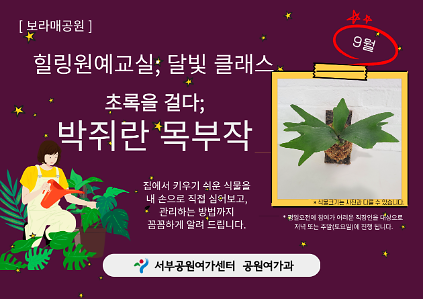 [보라매공원] 힐링원예교실: 달빛 클래스(9월) 사진