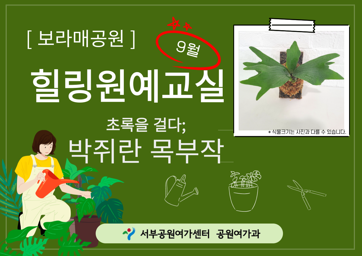 [보라매공원] 힐링원예교실(9월)