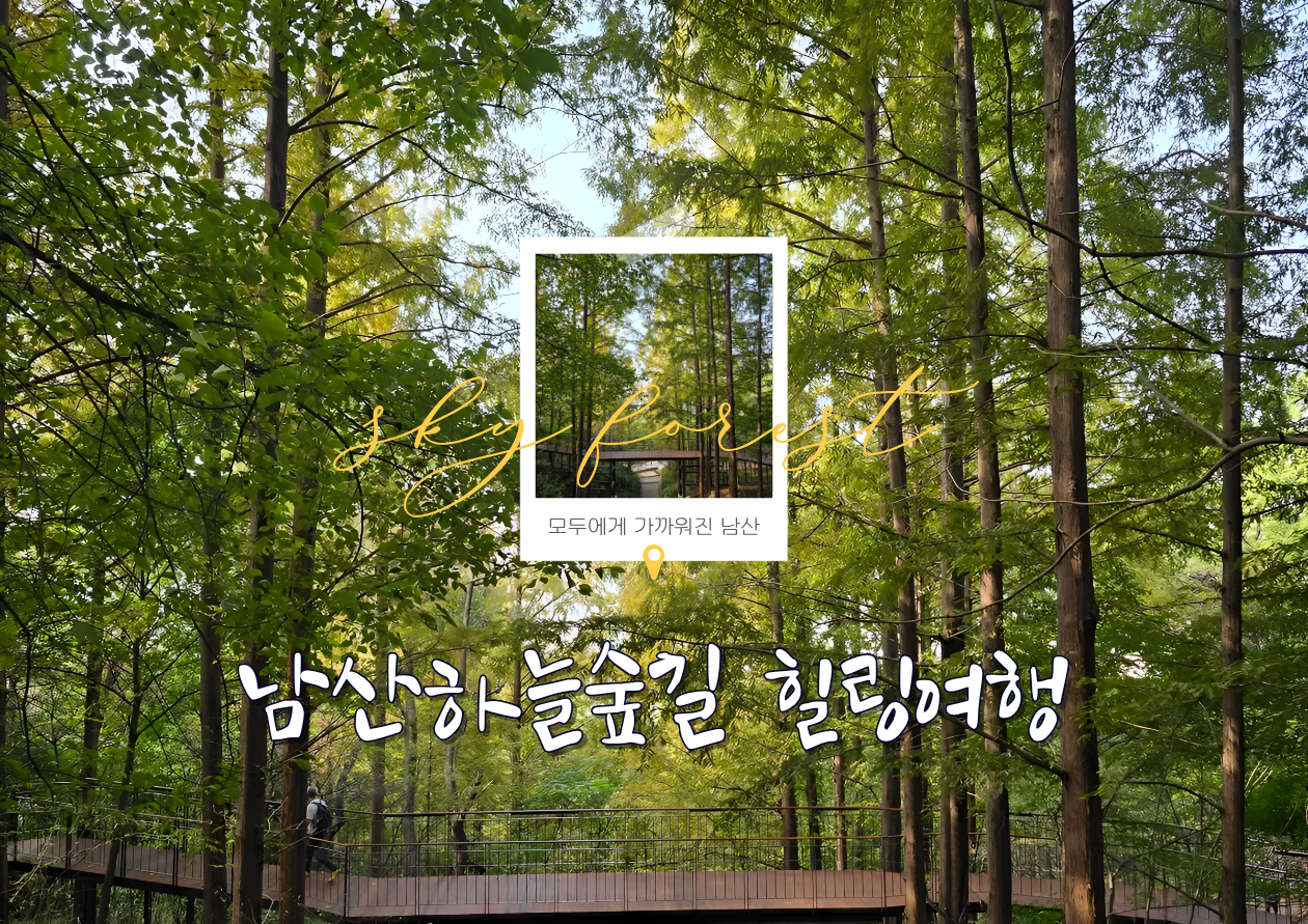 (수)남산하늘숲길 야간여행