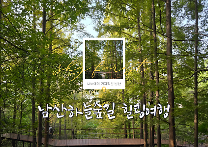 (수)남산하늘숲길 야간여행 사진