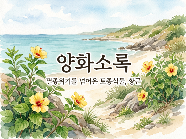 [강감찬센터] (관악구 도시농업) (일) 양화소록 (강감찬9월)