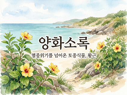 [강감찬센터] (관악구 도시농업) (일) 양화소록 (강감찬9월) 사진