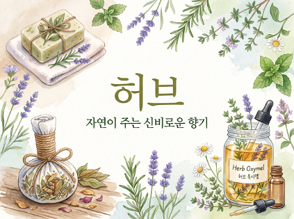 [강감찬센터] (관악구 도시농업) (수) 허브(자연이 주는 향기) (강감찬9월) 사진