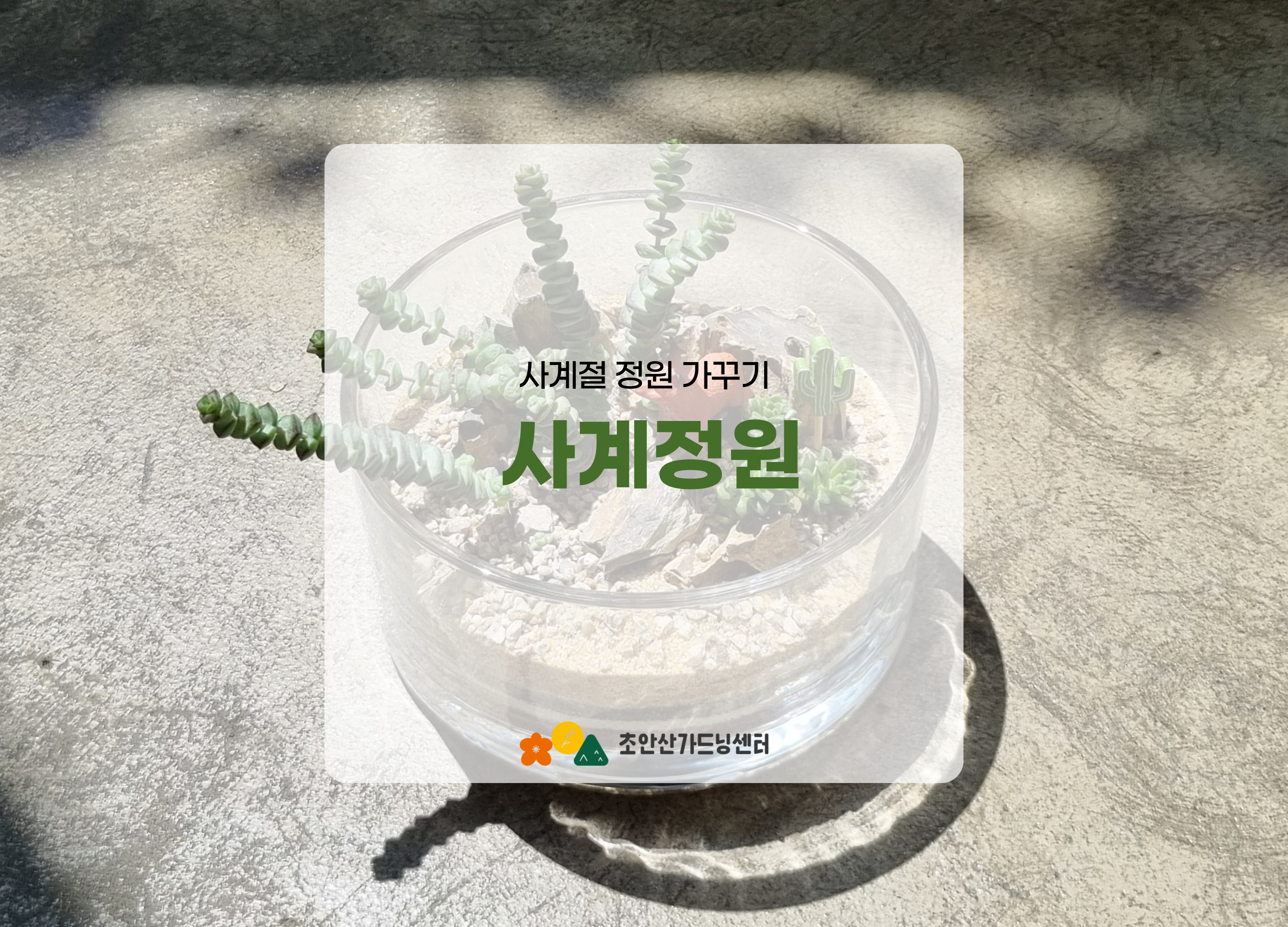 [초안산가드닝센터][주말][토요일]9,10월/가드닝/사계정원