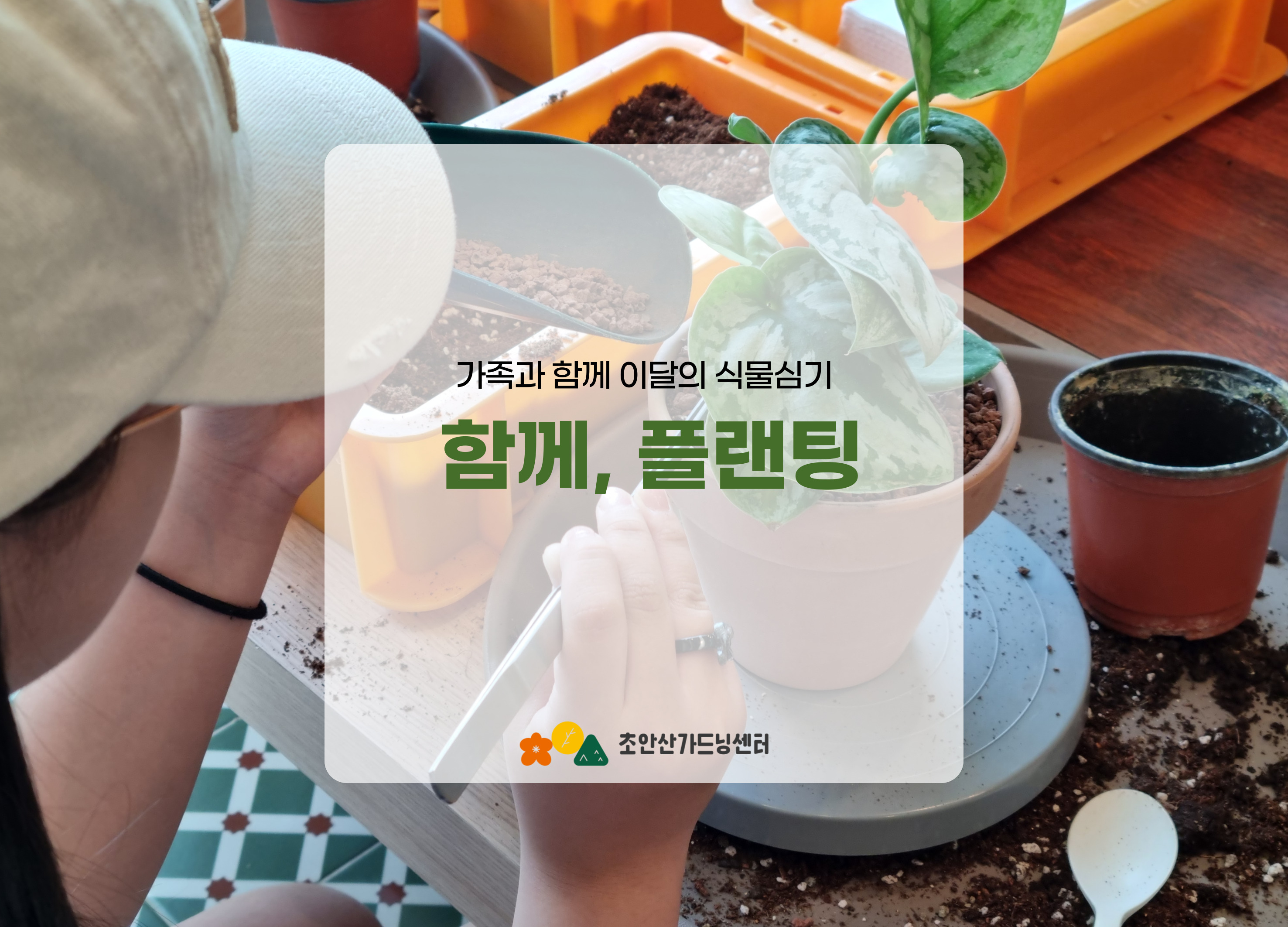 [초안산가드닝센터][주말][토요일]9,10월/가드닝/함께, 플랜팅