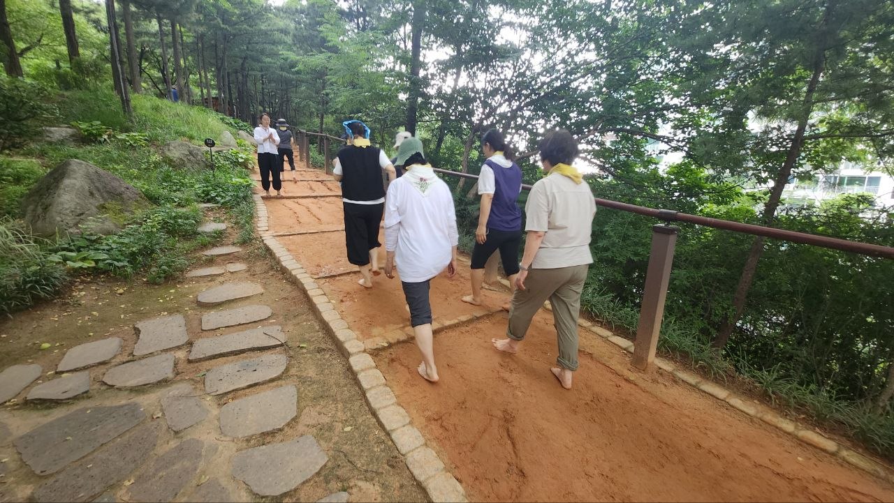 (토)  일상은 OFF, 숲은 ON