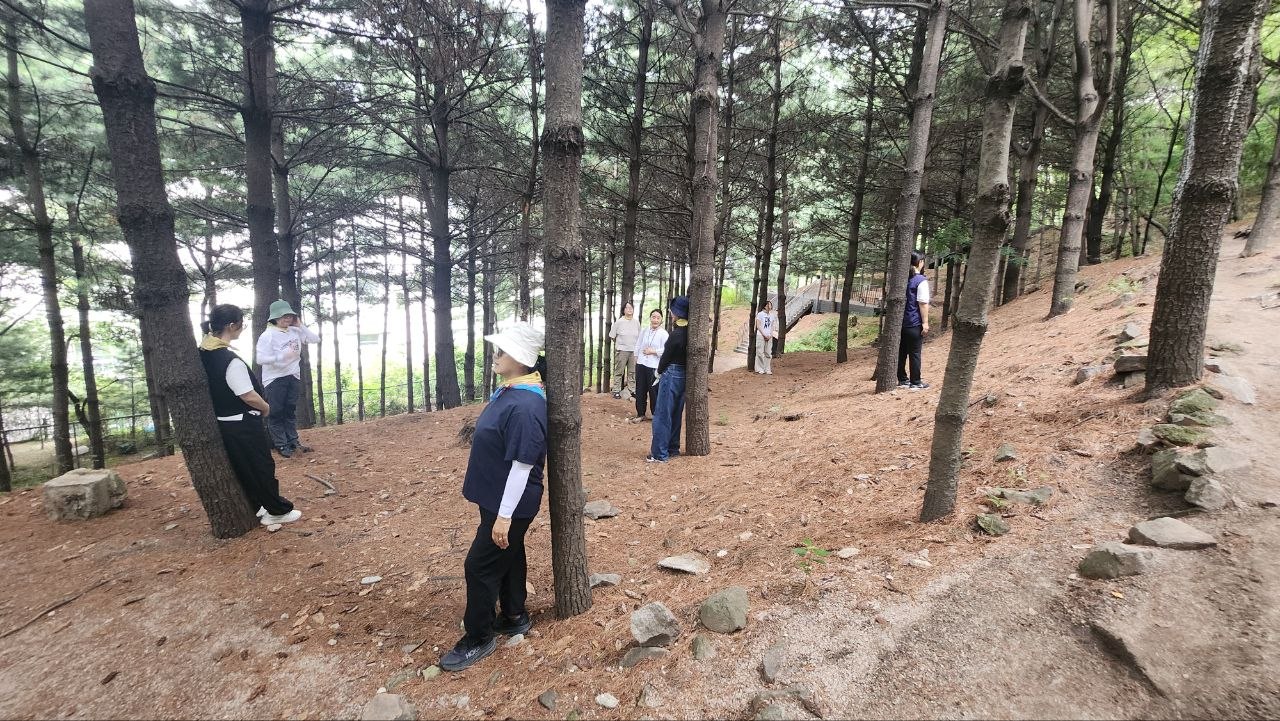 (토)  일상은 OFF, 숲은 ON