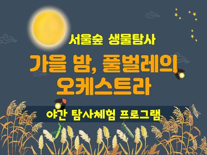 [서울숲] 가을밤, 풀벌레의 오케스트라 (9월) - 수 (야간) 사진