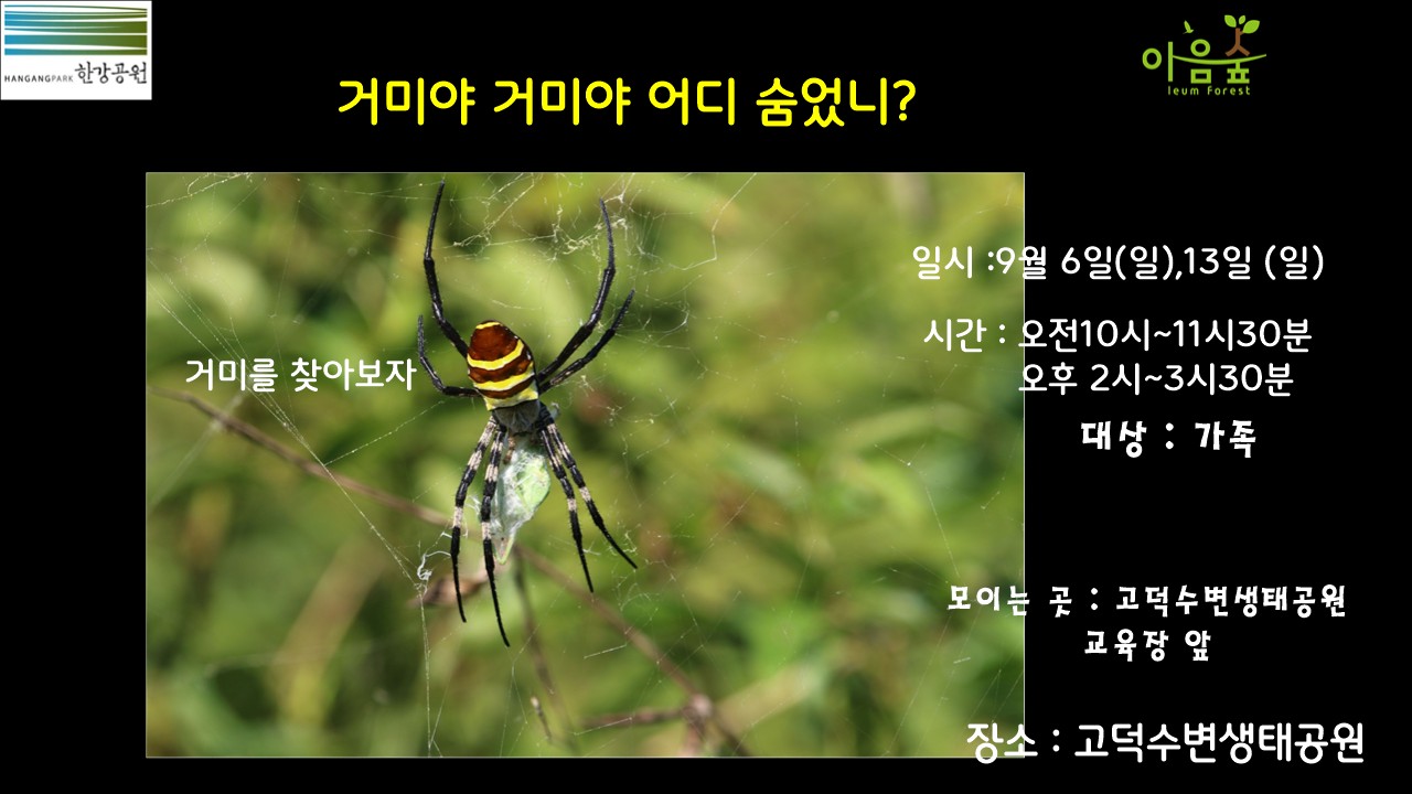 (고덕)(일)거미야 거미야 어디숨었니?