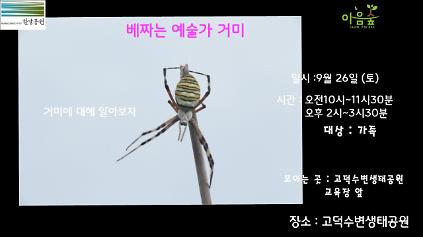 (고덕)(토)베짜는 예술가 거미 사진