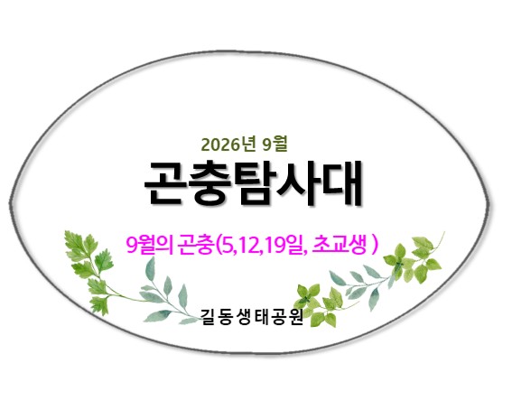 길동 곤충탐사대(9월) 