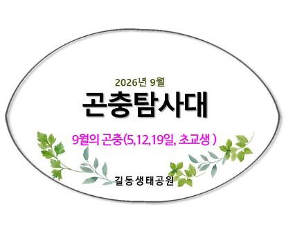 길동 곤충탐사대(9월)  사진