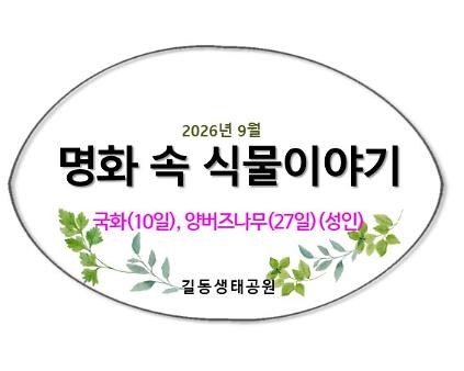 명화 속 나무이야기(국화, 양버즘)9월 사진