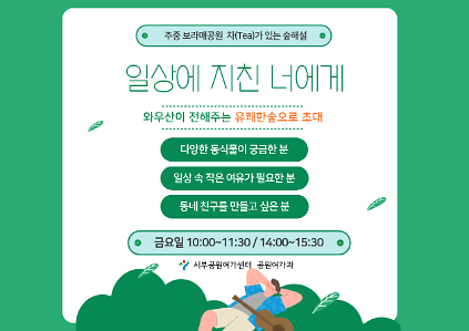 [보라매공원] 유쾌한 숲으로 초대(평일, 성인 개인/단체)_9월 사진