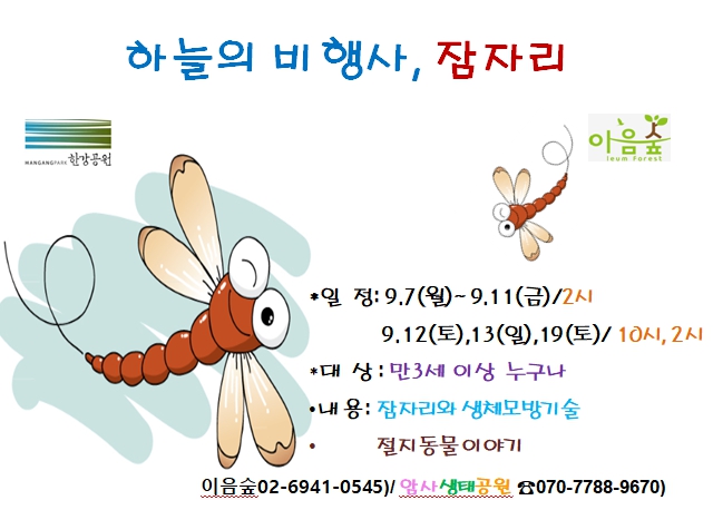 하늘의 비행사, 잠자리