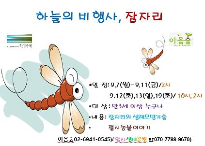 하늘의 비행사, 잠자리 사진