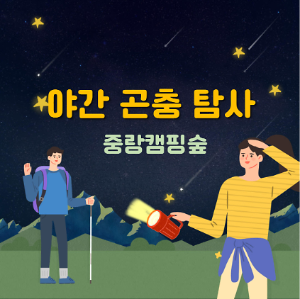 (금)야간 곤충 탐사 사진