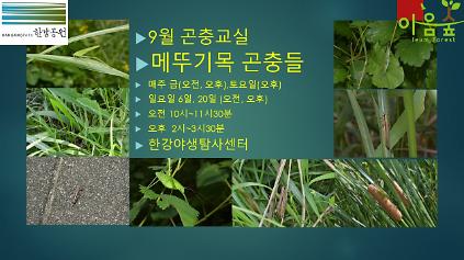 (한강야생탐사센터/특화)(금,토,일) 9월의 곤충교실 사진