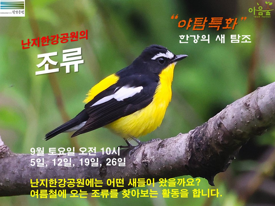 (한강야생탐사센터/특화)(토) 여름철새