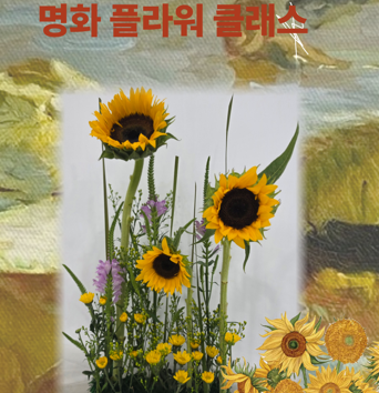 [보라매공원]  소소한 즐거움 가족가드닝  -  9월 해바라기가 있는 정원  사진
