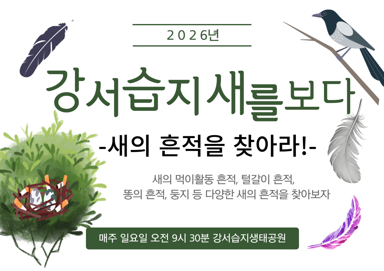 [강서습지] 강서습지 새를 보다 -새의 흔적을 찾아라-