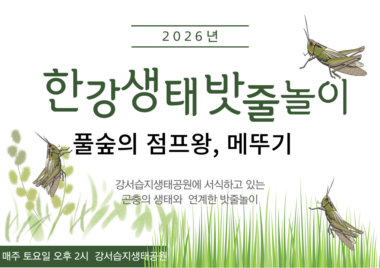 [강서습지] 한강 생태 밧줄놀이 -숲속의 점프왕, 메뚜기-