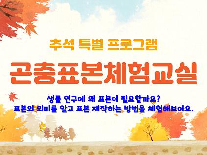 [서울숲] 곤충표본체험교실 (9월) - 추석 특별프로그램 사진