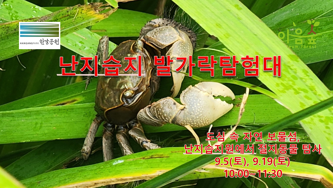 (난지생태습지원/특화) 난지습지 발가락탐험대