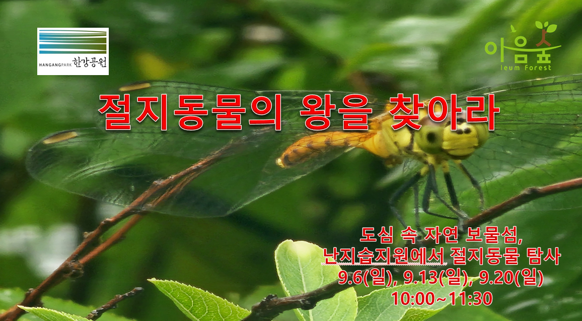 (난지생태습지원/특화) 절지동물의 왕을 찾아라