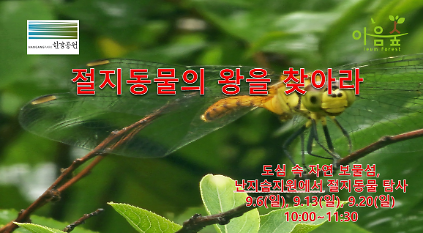 (난지생태습지원/특화) 절지동물의 왕을 찾아라 사진