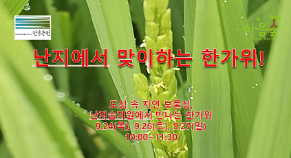 (난지생태습지원/특화) 난지에서 맞이하는 한가위 사진