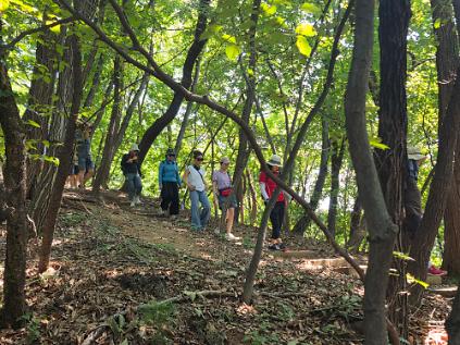 [광진구] 아차산 치유의 숲길- 9월 산림치유 프로그램 - 성인 사진