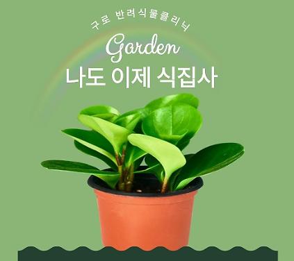 구로 반려식물클리닉  26년 9월 나도이제식집사 (9/3, 9/10, 9/17) 사진