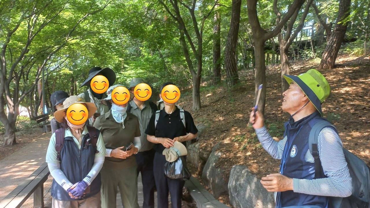 (토)마포구숲해설 매봉산 풀무골 숲테라피 