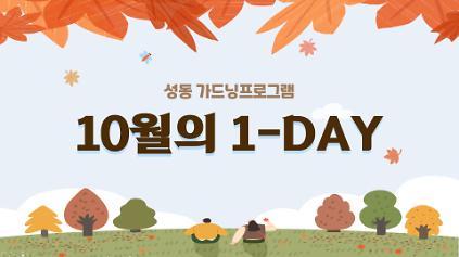 성동 가드닝 프로그램-10월 사진
